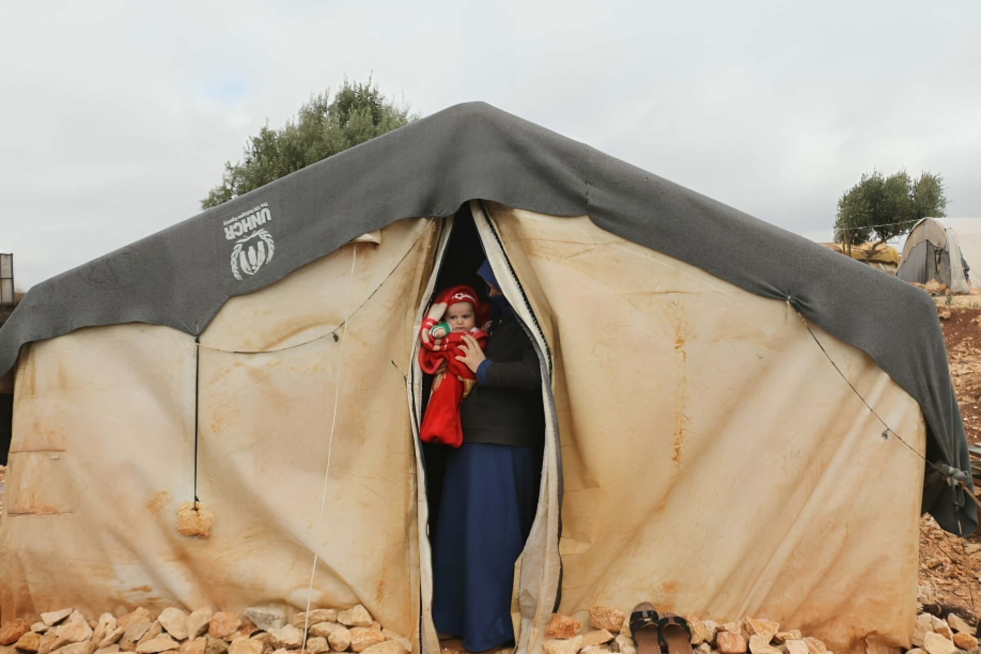 নারী দিবস ও মধ্যপ্রাচ্যের নারীদের মানবিক বিপর্যয়
